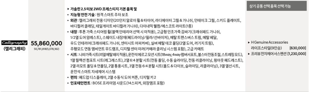 디 올 뉴 팰리세이드 가솔린 2.5 터보 9인승 캘리그래피 가격, 기본 품목, 선택 품목